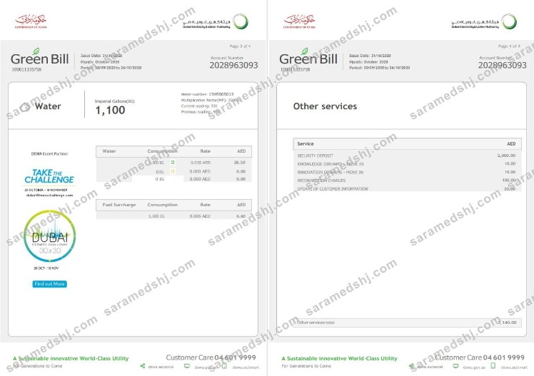UAE Dubai Electricity & Water Authority utility bill template in Word and PDF format (4 pages) 3 4